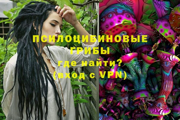 спиды Арсеньев