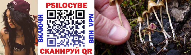 Псилоцибиновые грибы Cubensis MEGA ссылка Советск